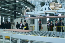 2014大自然木門經銷商大會暨泰州新廠盛典 互聯(lián)網銷售戰(zhàn)略啟新篇